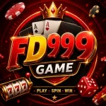 FD999 Game