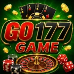 GO177 Game